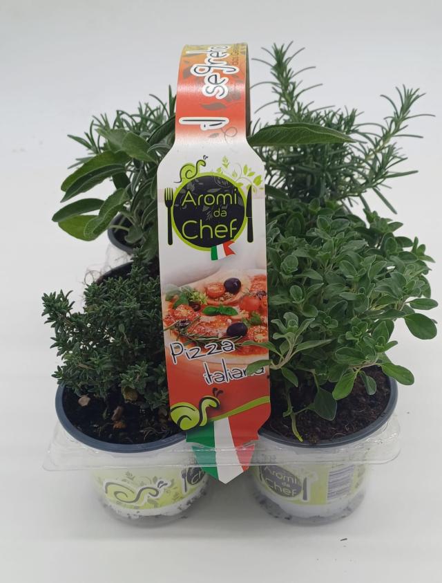 AROMATICHE V9 Cestino *Pizza Italiana*  