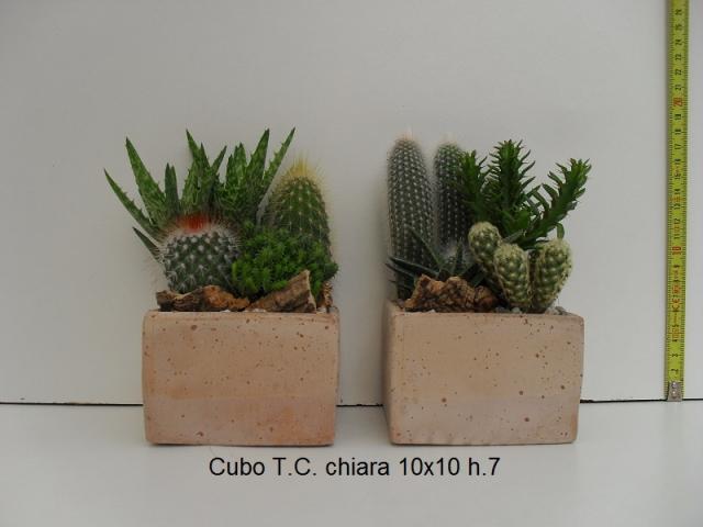 CUBO T.C. CHIARA 10X10 H7